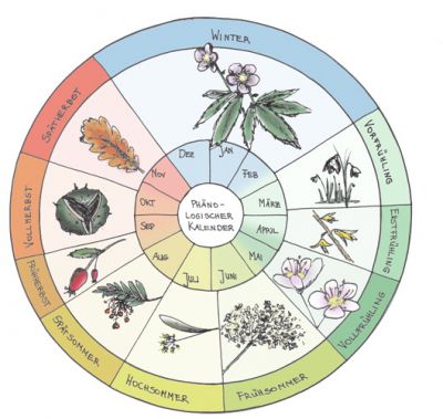 Phänologischer Kalender - Jahr in 10 Jahreszeiten  GARDOMAT